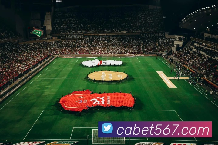 cabet亚州城服务体系